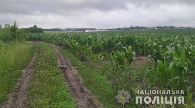 На Рівненщині чоловіка задушили та закопали у кукурудзяному полі: деталі вбивства у Бармаках