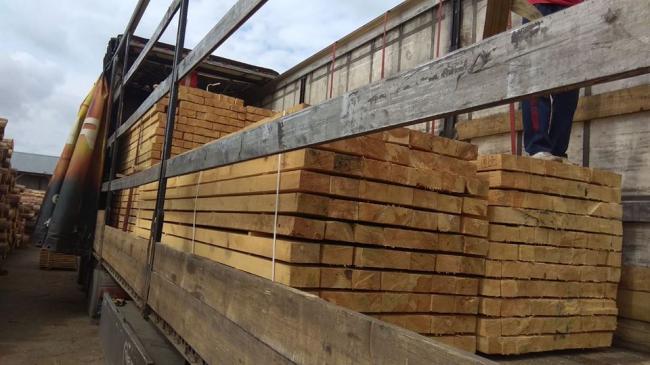 На Рівненщині митники зупинили незаконний експорт деревини