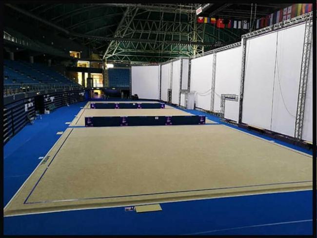 Рівненським гімнасткам потрібні нові професійні килими для тренування
