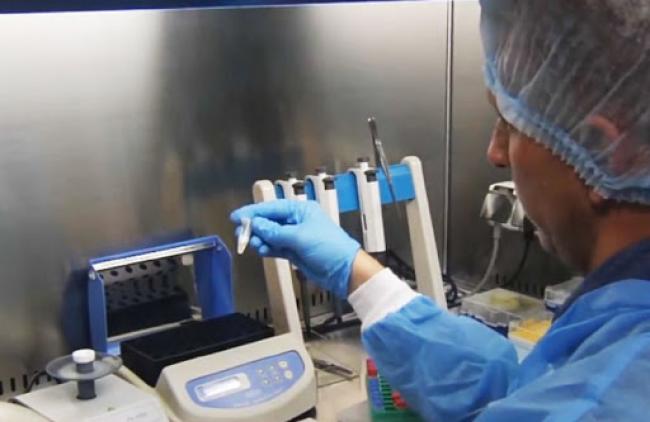 Більше 400 підозр на коронавірус перевіряють сьогодні рівненські лабораторії