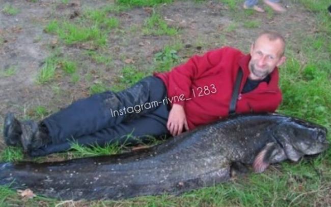 В озері на Рівненщині рибалка спіймав двометрову рибину (ФОТОФАКТ)