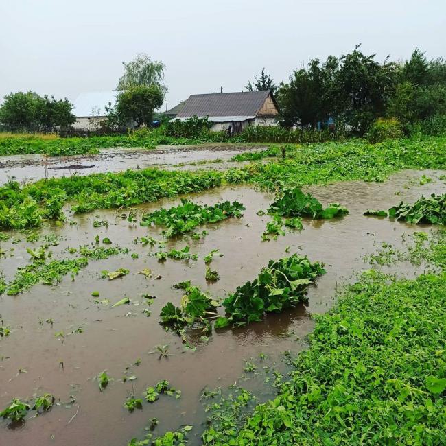 Затопило городи та дороги: село на Рівненщині постраждало від сильної зливи (ФОТО)