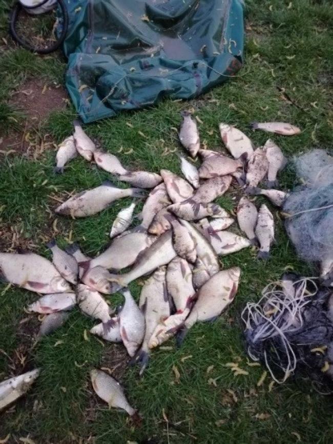 На Рівненщині у браконьєрів конфіскували 22 кг риби
