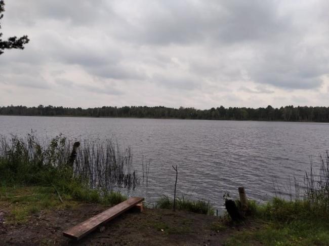 На Рівненщині школярі та вчителі очищали територію озера