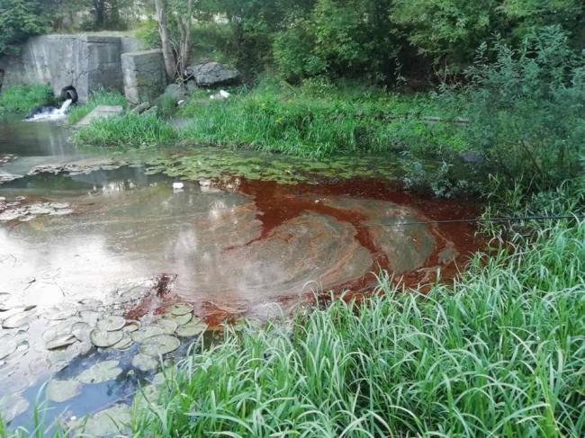 На Рівненщині у річку потрапило пальне: екологи найшли причини (ФОТО)