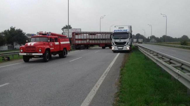 На Рівненщині зіткнулися два вантажні автомобілі - дорогу перекрито (ФОТО)