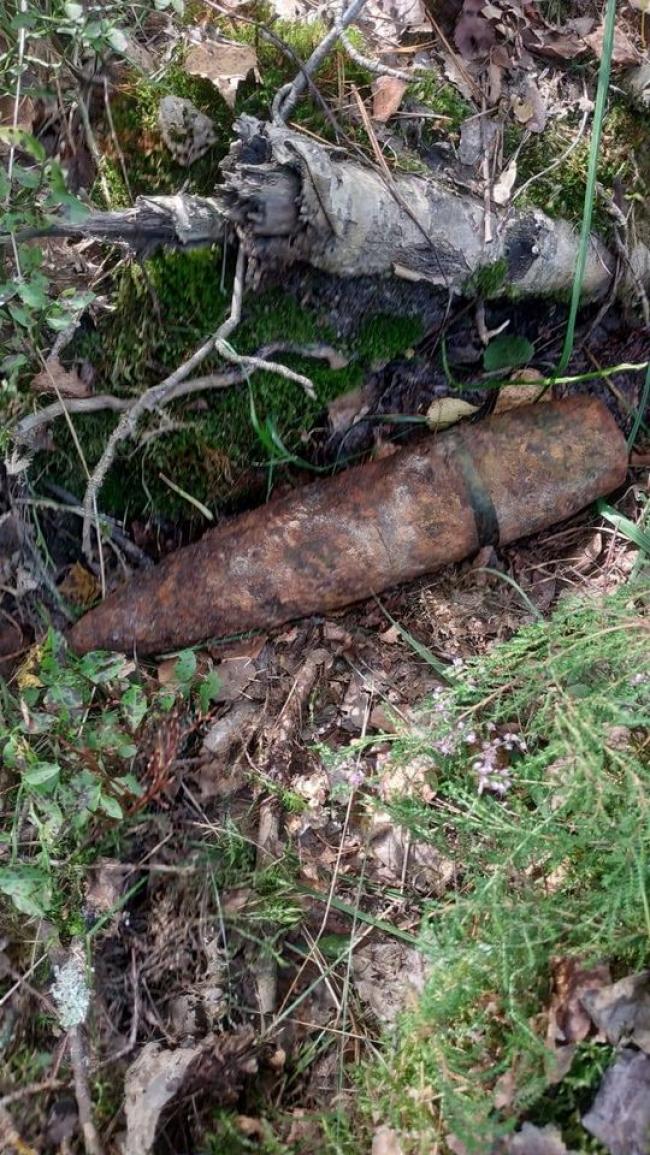 Піротехніки знищили боєприпаси, які виявили у двох селах на Рівненщині