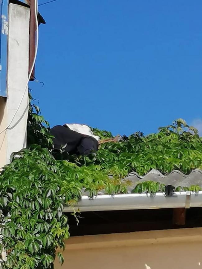 У Рівному п`яний чоловік спав на даху АЗС (ФОТО)