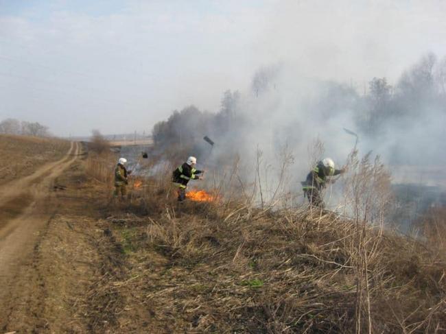 За минулу добу рятувальники Рівненщини двічі виїжджали на гасіння пожеж сухої трави та чагарників