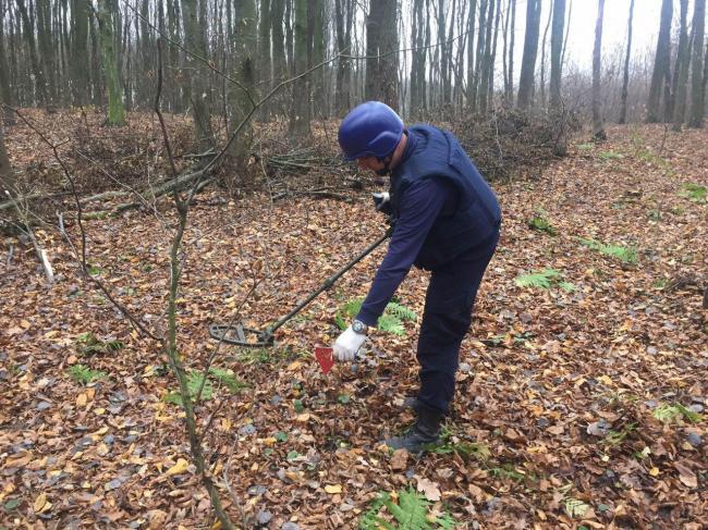На Рівненщині розмінували ліс: ліквідували 30 снарядів часів війни