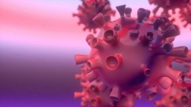 У яких районах Рівненщини найбільше людей хворіє на коронавірус?