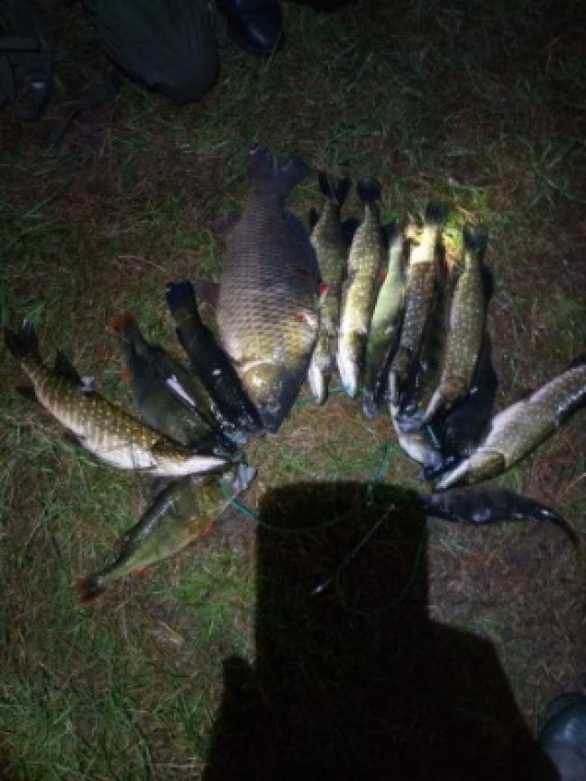 На Рівненщині браконьєр стріляв по рибі з гарпунної рушниці