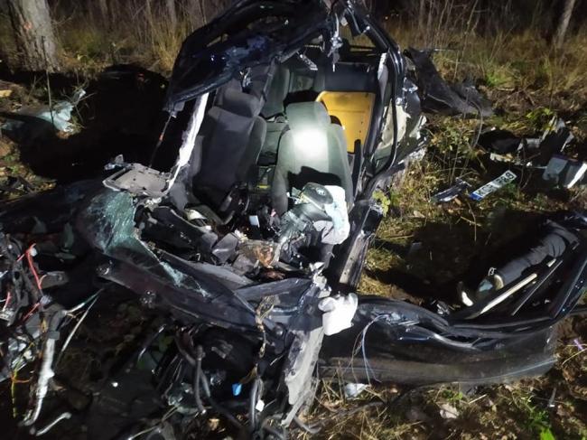 На Рівненщині - смертельна ДТП: автівка врізалась в дерево (ФОТО)