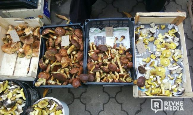 На ринку у Рівному - маса грибів: відома вартість лісових смаколиків (ФОТО)