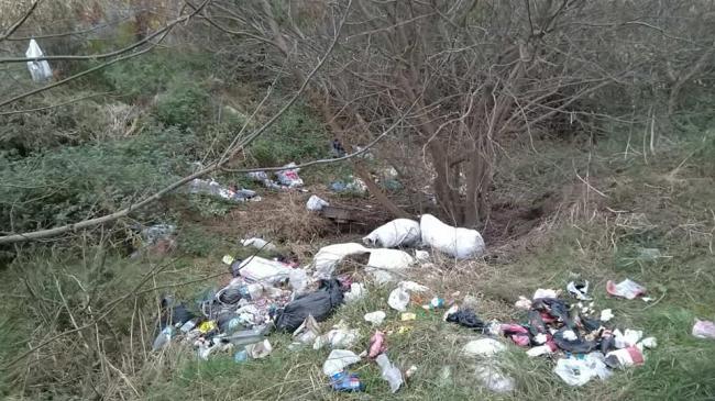 У селі на Рівненщині прибрали стихійне сміттєзвалище (ФОТО)