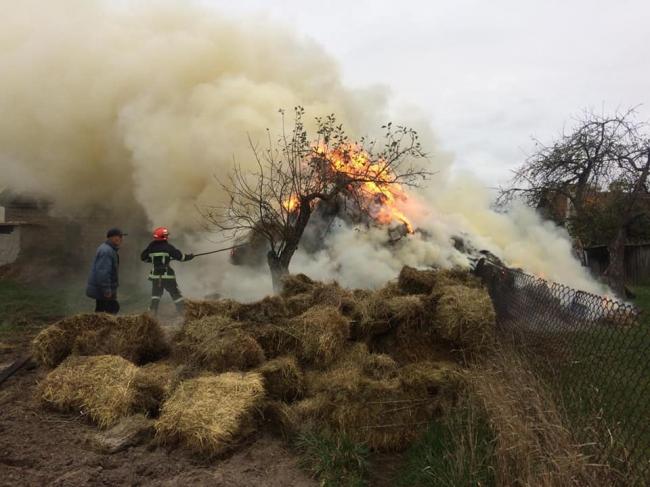У селі на Рівненщині згоріло сіно, заготовлене на зиму