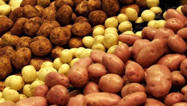 В Україні зросла ціна на картоплю