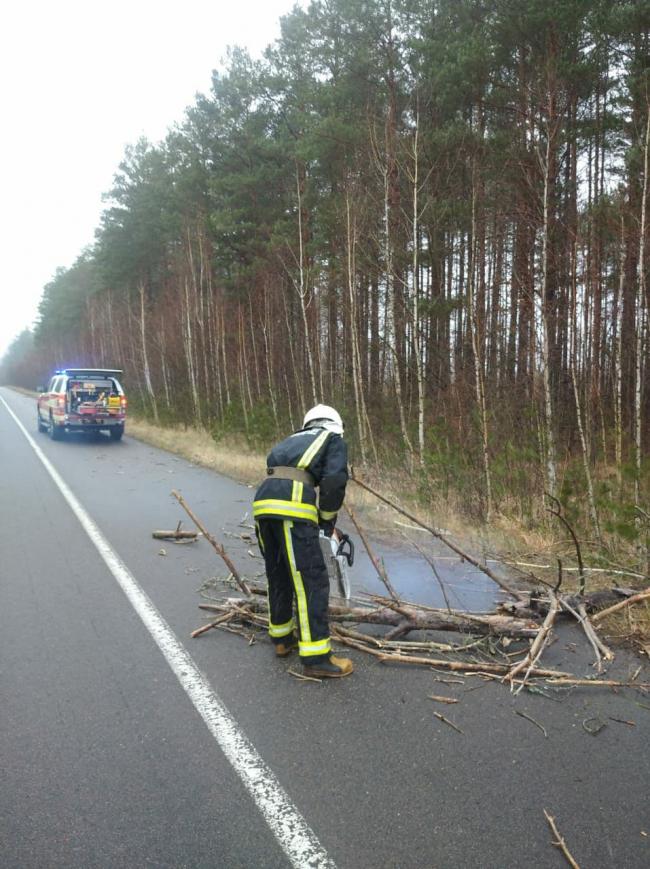 На півночі Рівненщини розчищали дорогу від поваленого дерева