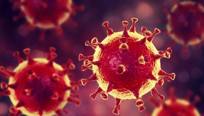 Померли шестеро мешканців Рівненщини, в яких виявили коронавірус