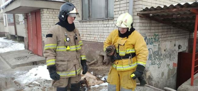 У Сарнах горів підвал п`ятиповерхівки: пожежники врятували кота (ФОТО)
