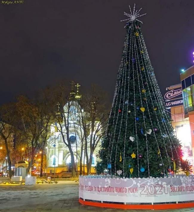 У центрі Рівного прикрасили першу новорічну ялинку (ФОТОФАКТ)