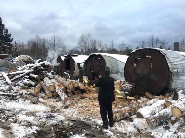 Бочки для випалювання і пилорами: на Рівненщині посилюють контроль за незаконною деревиною