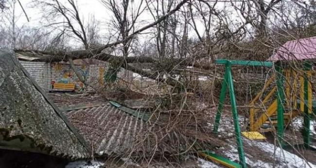 У Березному на майданчик біля дитсадка впало дерево (ФОТО)