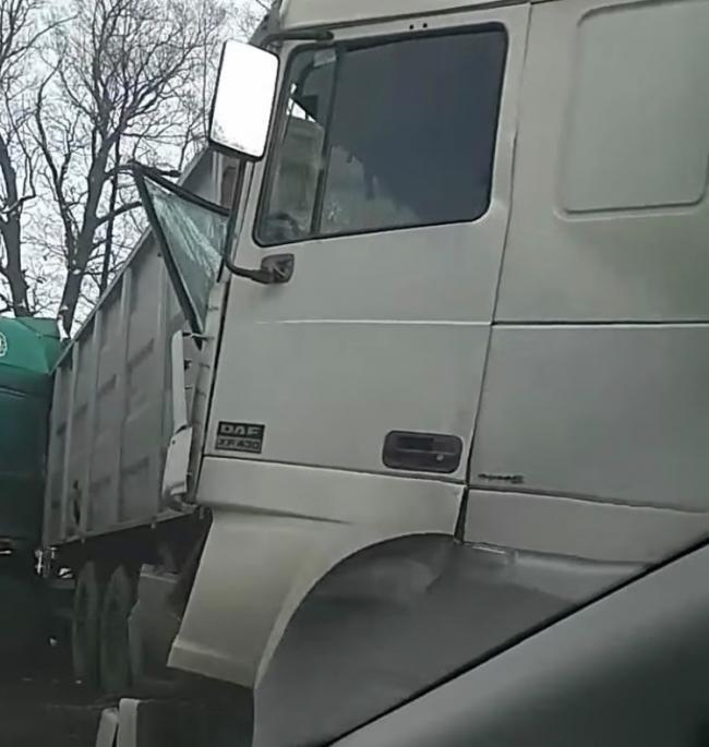 На Рівненщині зіткнулись лісовоз та вантажівка (ВІДЕО)