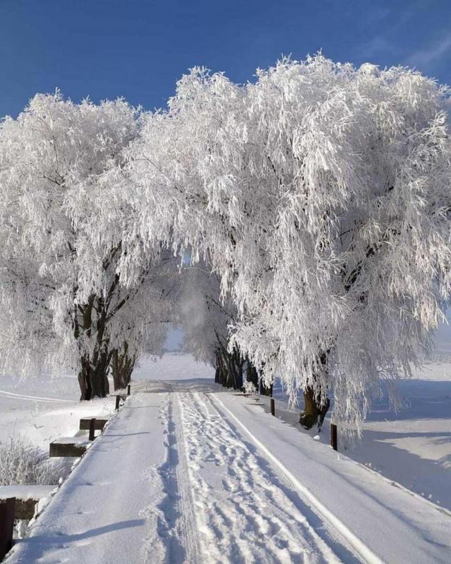 Мешканці Рівненщини діляться світлинами зимових пейзажів (ФОТО)