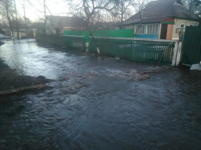 Велика вода на Поліссі: в околицях Зарічного може затопити присадибні ділянки