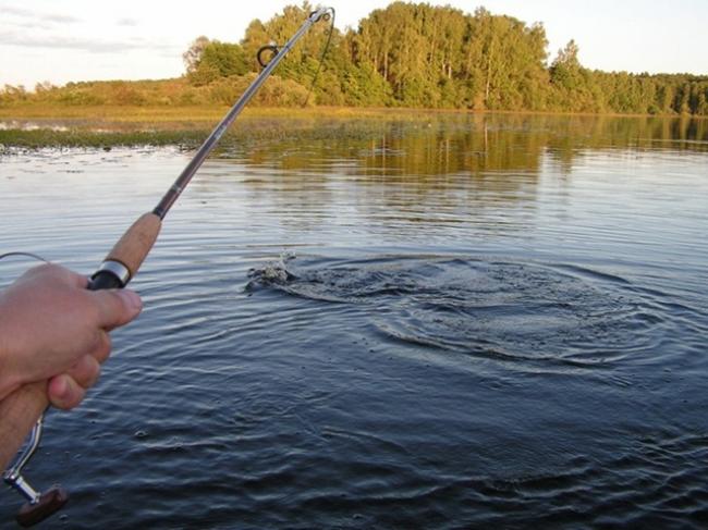 На яких водоймах Рівненщині спіймали найбільше рибалок-порушників