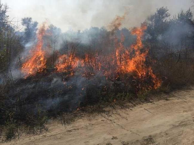 На Рівненщині палять траву: рятувальники тричі за добу гасили пожежі (ФОТО)