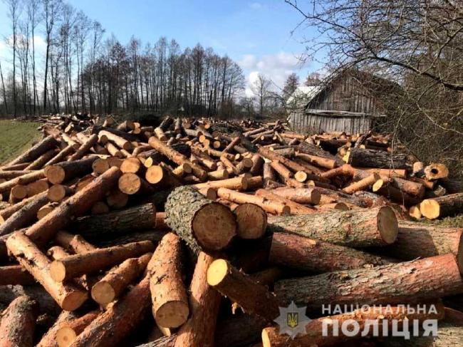 На Рівненщині поліція виявила майже 200 кубометрів деревини у приватному господарстві