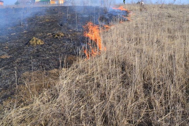 На Рівненщині минулого року зафіксували майже чотири сотні пожеж у екосистемах