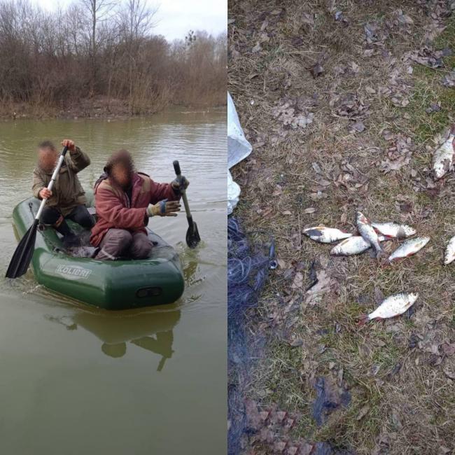 На Рівненщині спіймали недобросовісного рибалку з сітками