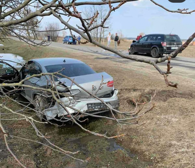 У селі на Рівненщині сталась аварія: машина злетіла у кювет (ФОТО)