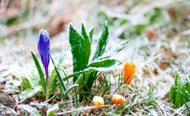 Сніг, ожеледиця та заморозки: на Рівненщині - штормове попередження