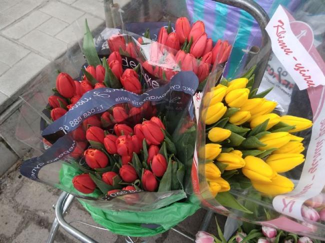 Тюльпани, котики і гіацинти: які ціни на квіти у Рівному?