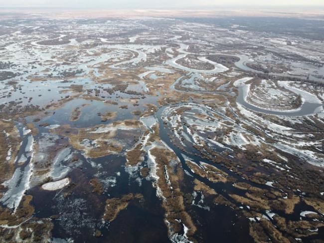 Велика вода на Поліссі: як виглядає заплава Прип`яті з висоти пташиного польоту