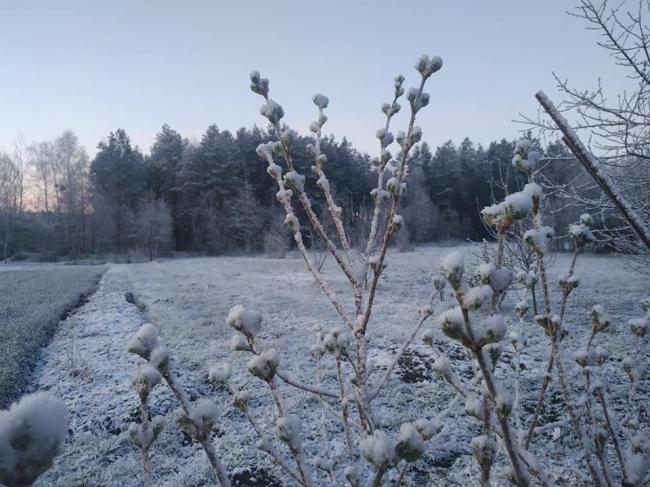 148-ий день зими: селище на Рівненщині засніжило (ФОТО)