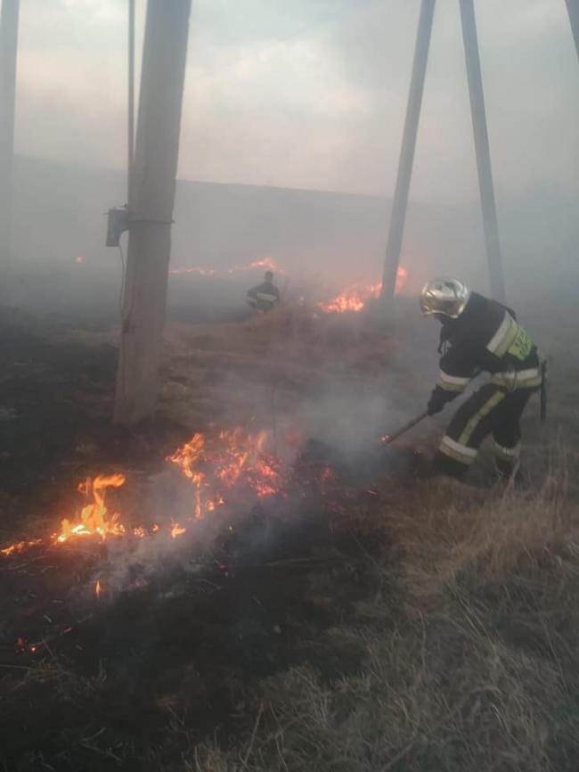 Мешканка села на Рівненщині хотіла спалити сухостій, а вогонь ледь не перекинувся на хати (ВІДЕО)