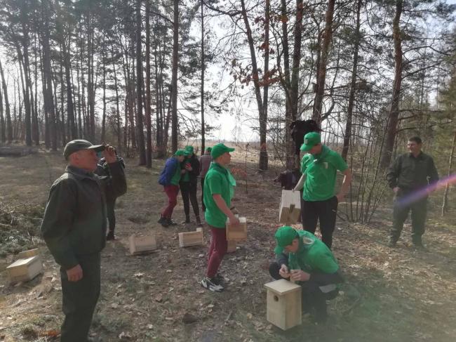 На Рівненщині діти разом із лісівниками облаштували шпаківні для птахів