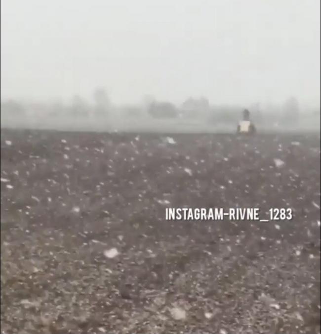На півночі Рівненщини - мете сніг (ВІДЕО)