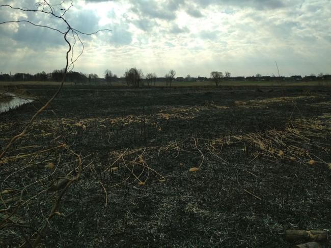 По всій Рівненщині підпалюють суху траву: рятувальники показали масштаби (ВІДЕО)