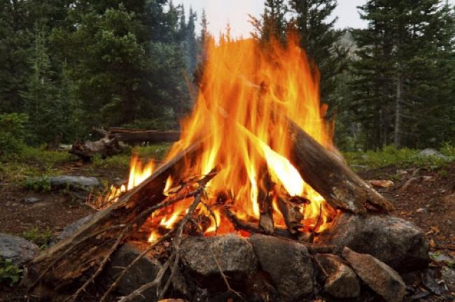 У Рівненській області заборонили розведення відкритого вогню у лісах та рекреаційних зонах
