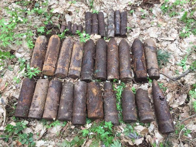 У селі біля Рівного виявили більше 30 артилерійських снарядів