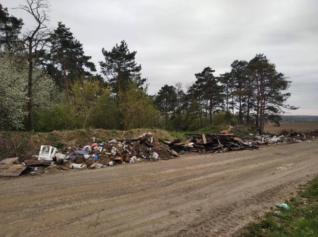 Біля дороги до туристичної локації Рівненщини влаштували сміттєзвалище (ФОТО)