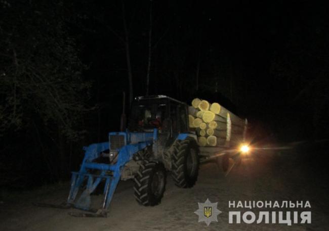 Двоє 22-річних мешканців Рівненщини трактором вивозили дуби з Житомирщини