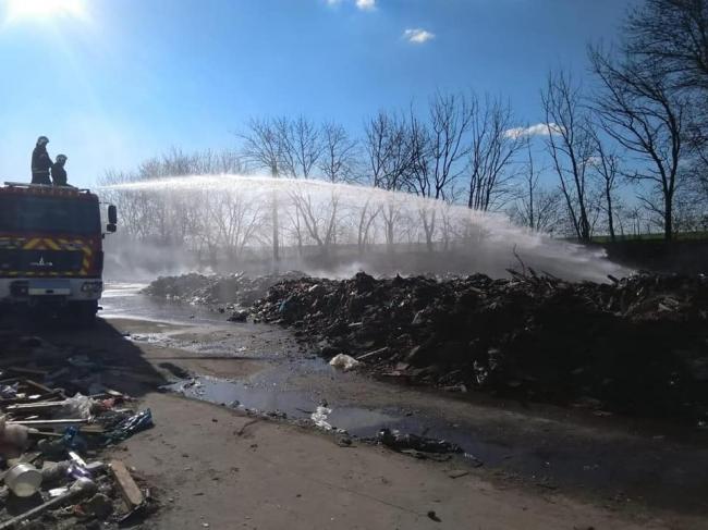 Екологи шукають винних у масштабній пожежі біля Рівного