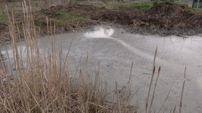 У заплаві річки на Рівненщині виявили перевищення вмісту хімікатів